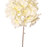 Velvet Single Hydrangea W/Plastic Gold Stem, 66 cm, Ø 15 cm "Winter Dream"