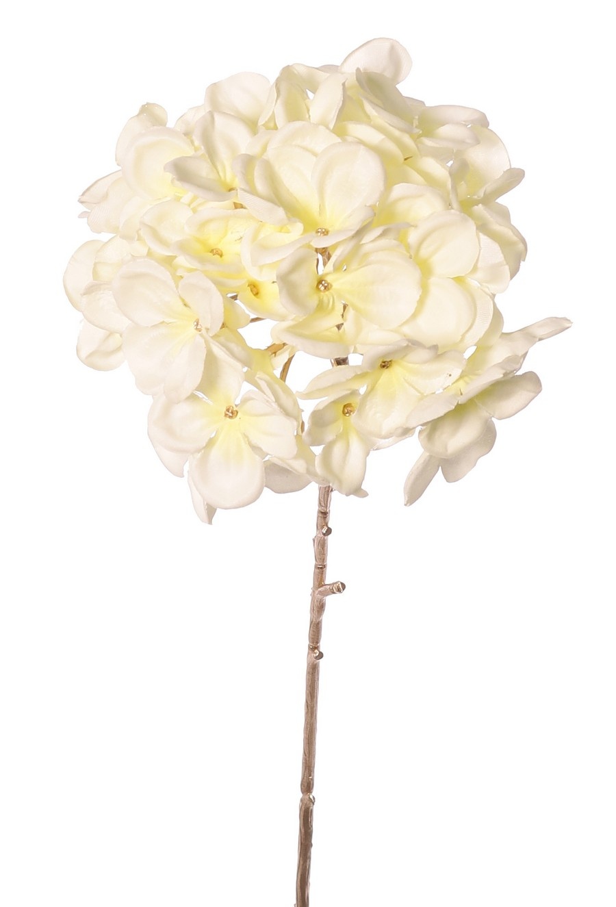 Hydrangea, stem color: gold, 66 cm, Ø 15 cm "Winter Dream"