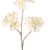 Velvet Hydrangea Spray x 3 Cluster Flrs (3x Ø 10 cm) W/Plastic Gold Stem, 66 cm "Winter Dream"