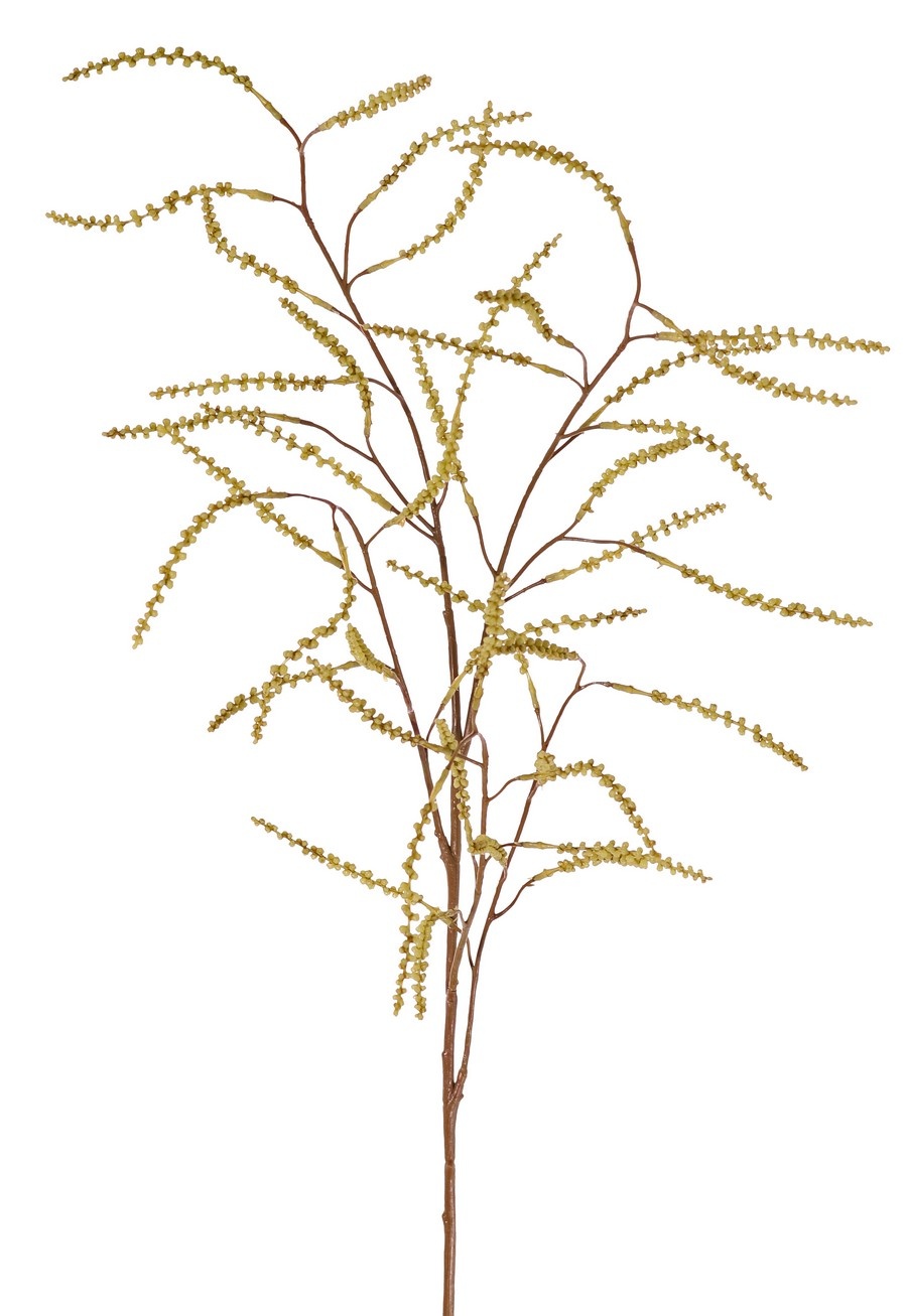 Tamarisk (Tamarix) bud branch, 5 branches with 43 bud bundles, full plastic, 100 cm