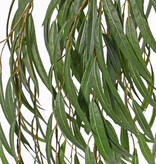 152280GRFR - Trauerweidenzweig (Salix pendula) mit 221 Blättern, 120 cm - schwer enflammbar