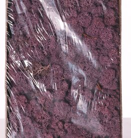 Liquen de Islandia natural (Musgo), caja de 500gr