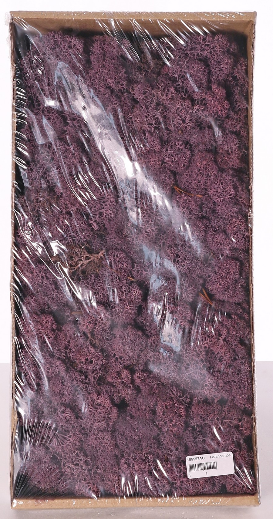 Liquen de Islandia natural (Musgo), caja de 500gr