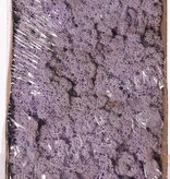 Liquen de Islandia natural (Musgo), caja de 500gr