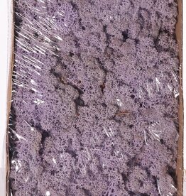 Ijslandmos (rendiermos), doos v 500 gr