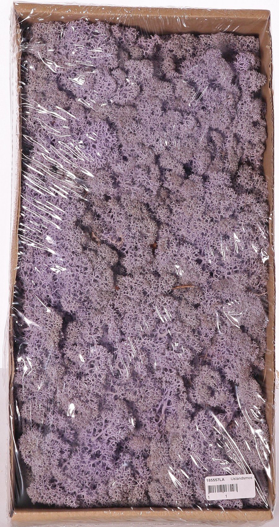 Icelandic moss (reindeer moos), box of 500 gr