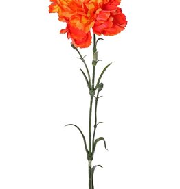 Nelke (Dianthus), Ø 9 cm, H. 6 cm) mit 2 Plastikknospen und 8 Blaettern, 60 cm