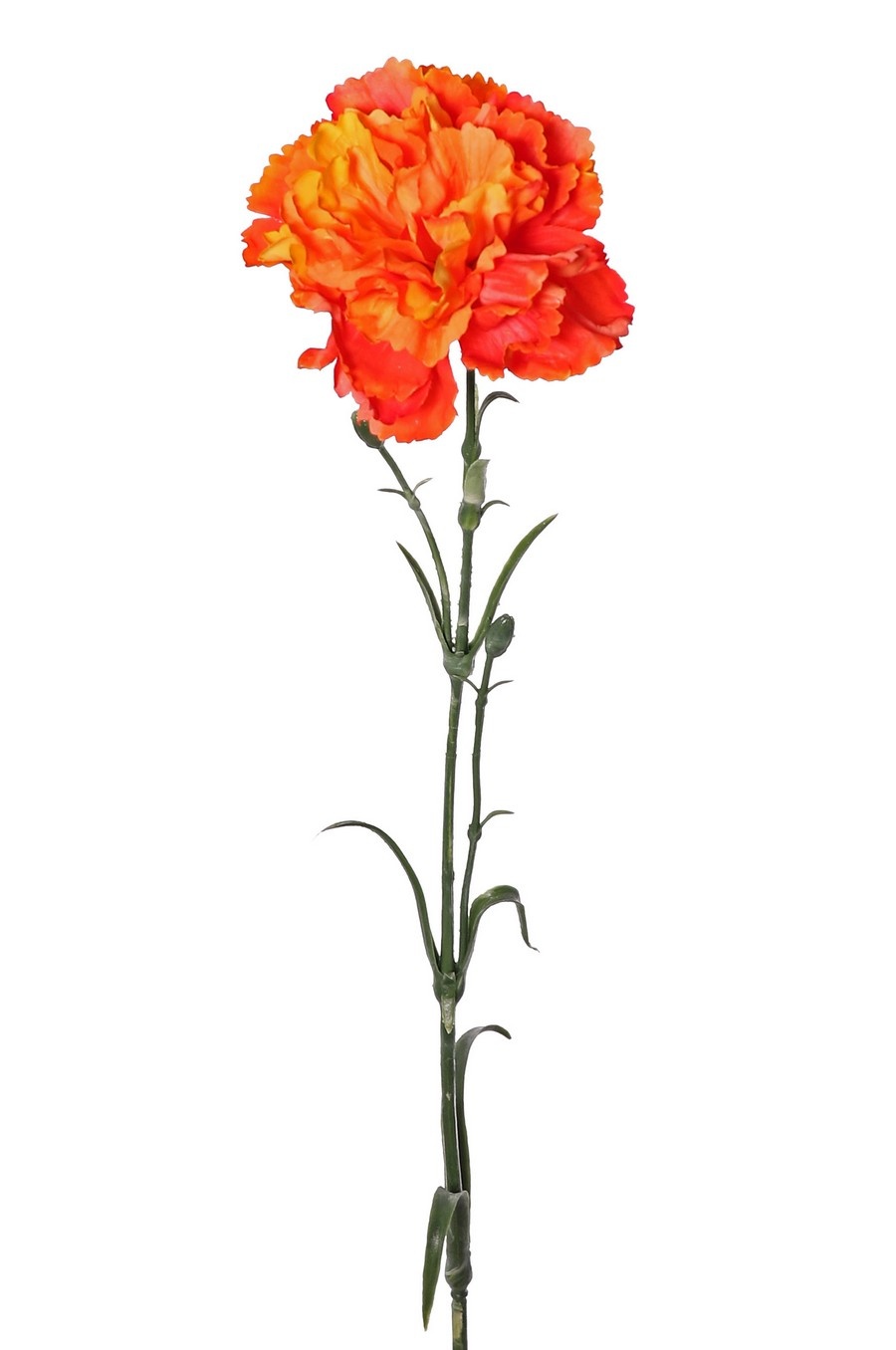 Carnation (Dianthus), Ø 9 cm, H. 6 cm) with 2 plastic buds and 8 leaves, 60 cm