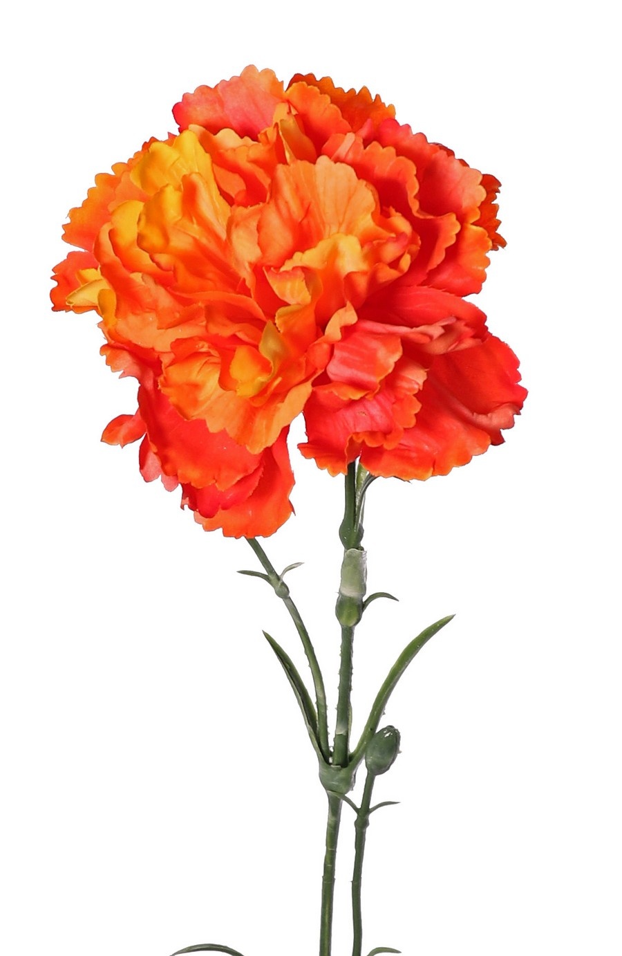 Carnation (Dianthus), Ø 9 cm, H. 6 cm) with 2 plastic buds and 8 leaves, 60 cm