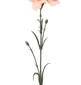Carnation (Dianthus), Ø 9 cm, H. 6 cm) with 2 plastic buds and 8 leaves, 60 cm