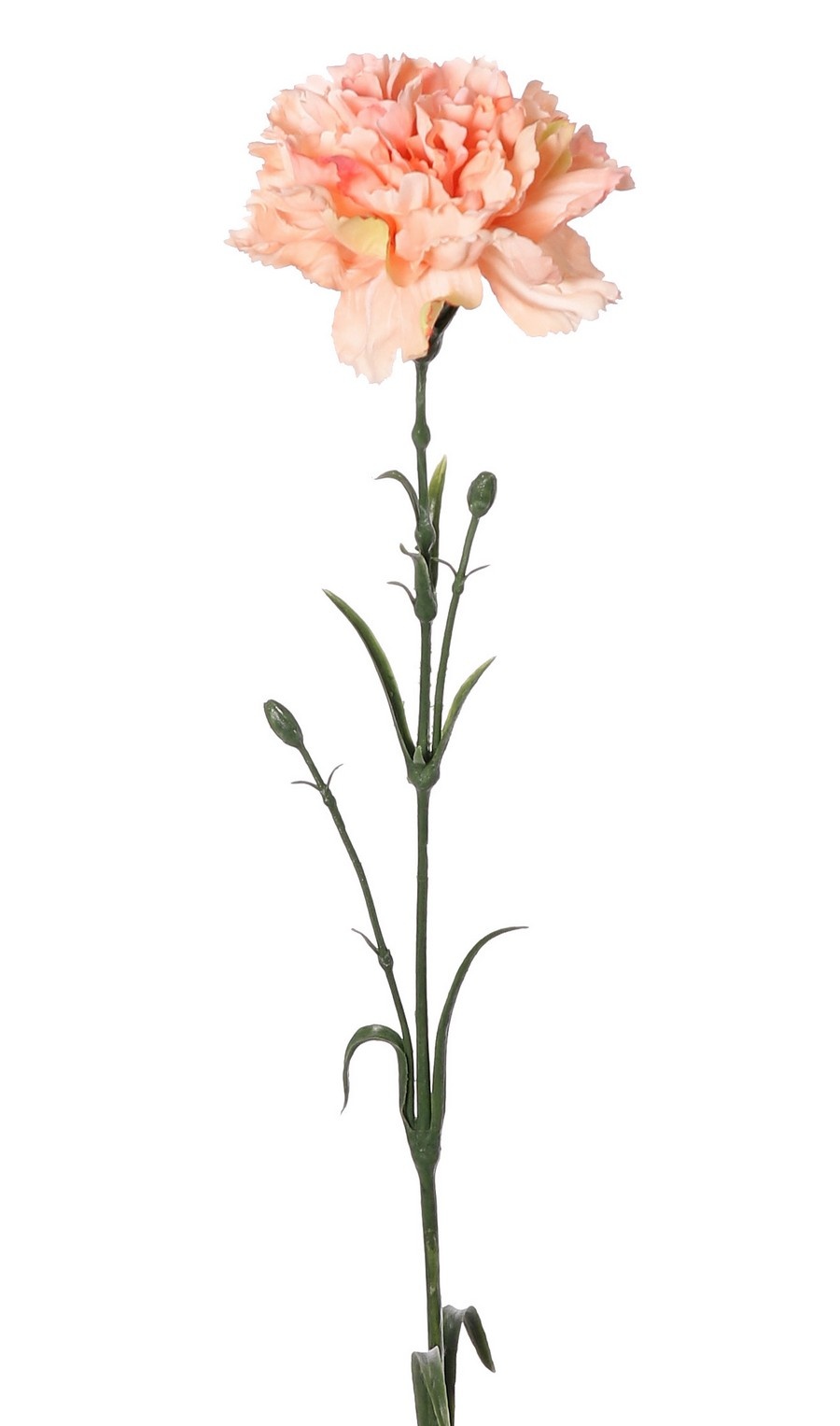 Carnation (Dianthus), Ø 9 cm, H. 6 cm) with 2 plastic buds and 8 leaves, 60 cm