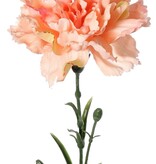 Carnation (Dianthus), Ø 9 cm, H. 6 cm) with 2 plastic buds and 8 leaves, 60 cm
