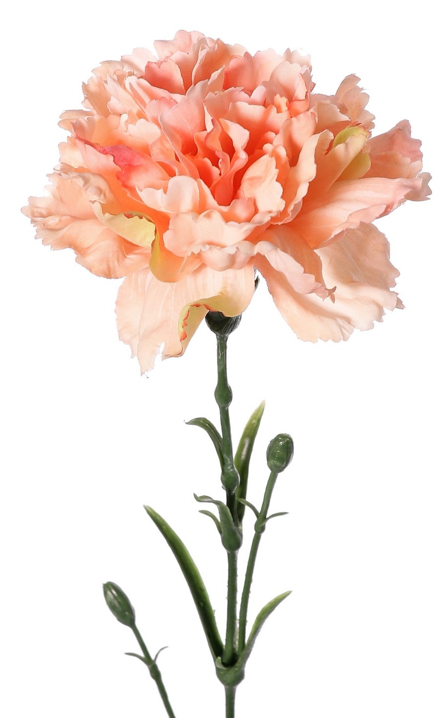 Anjer (Dianthus), 1 bloem (Ø 9 cm, H. 6 cm), met 2 plastic knopjes & 8 plastic bladeren, 60cm