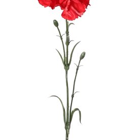 Anjer (Dianthus), 1 bloem (Ø 9 cm, H. 6 cm), met 2 plastic knopjes & 8 plastic bladeren, 60cm