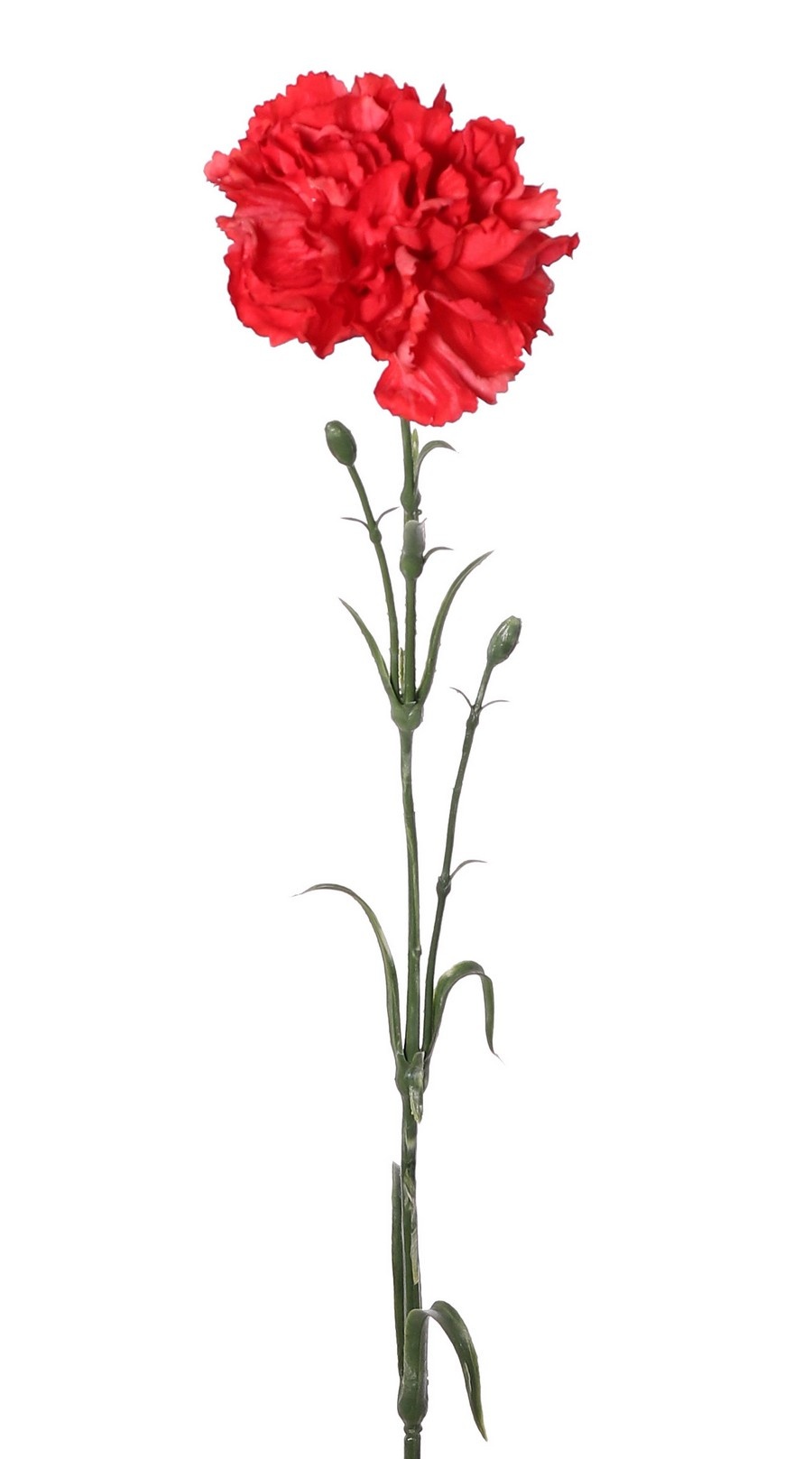 Anjer (Dianthus), 1 bloem (Ø 9 cm, H. 6 cm), met 2 plastic knopjes & 8 plastic bladeren, 60cm