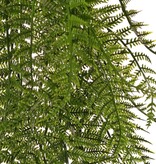 Woodwardiavaren fern, netted-chain fern, 7 branches, 55 fern leaves, UV resistant, 70 cm