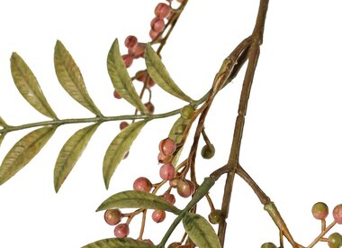 Blatt- und Beerenzweige