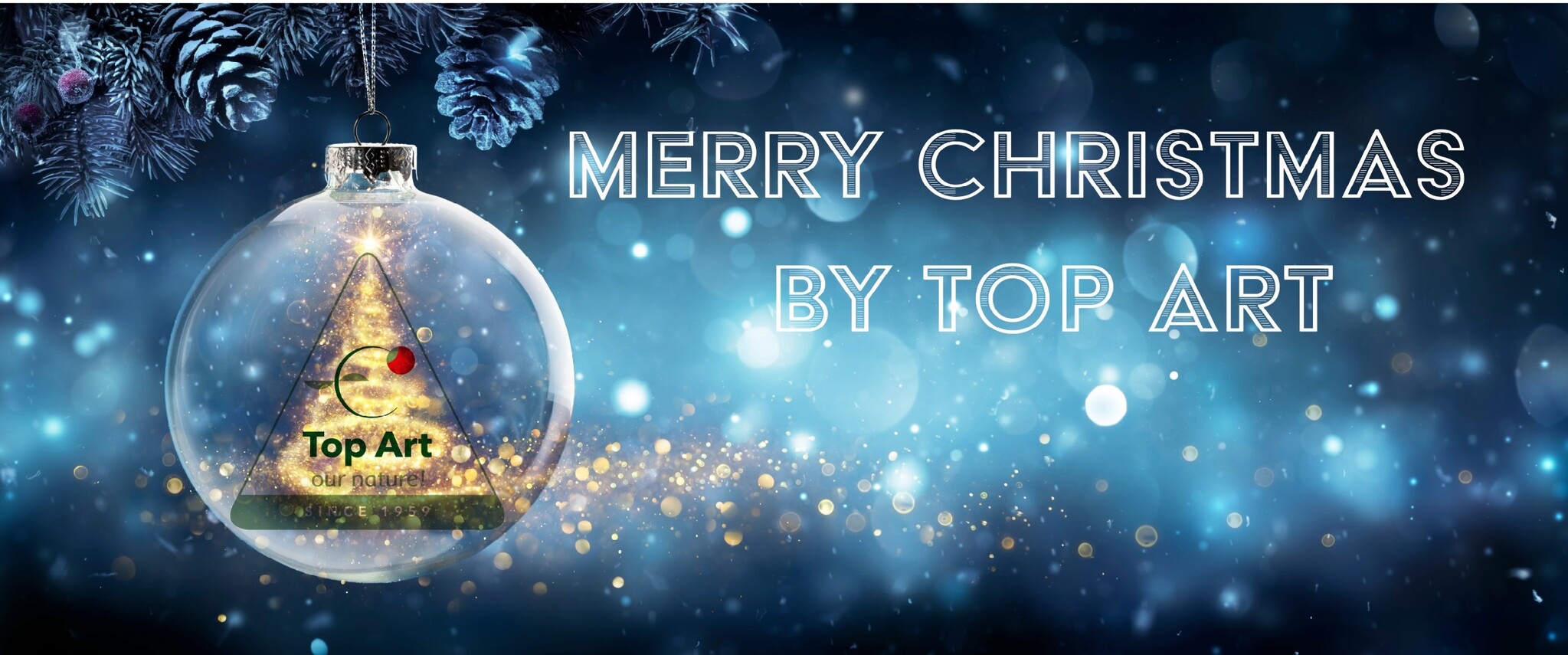 Winter en Kerst met Top Art