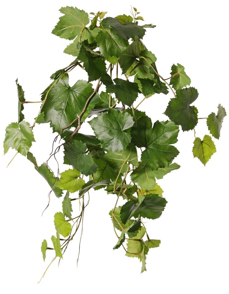 Grape plant (Vitis vinifera) with 54 leaves, 2 climbing roots & 3 plastic leaf tips, UV resistant and fire retardant, 60 cm
