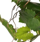 Druivenplant (Vitis vinifera) met 54 bladeren, 2 klimwortels & 3 plastic bladtoeven, UV bestendig en brandvertragend, 60 cm