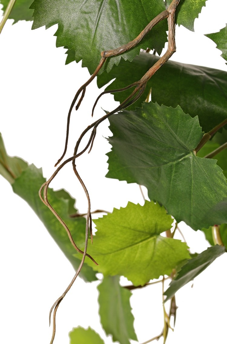 Grape plant (Vitis vinifera) with 54 leaves, 2 climbing roots & 3 plastic leaf tips, UV resistant and fire retardant, 60 cm