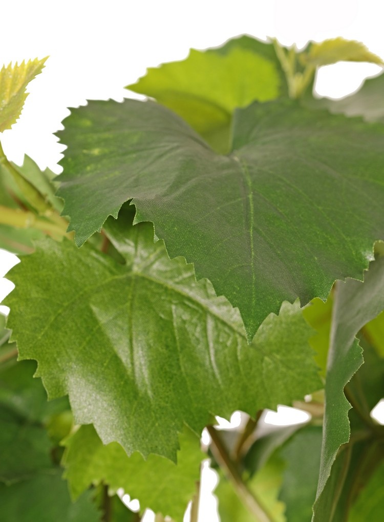 Druivenplant (Vitis vinifera) met 54 bladeren, 2 klimwortels & 3 plastic bladtoeven, UV bestendig en brandvertragend, 60 cm