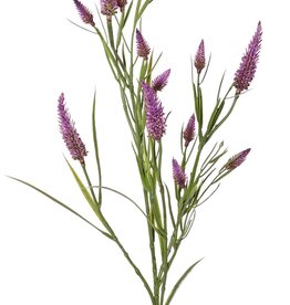 Trébol de hoja estrecha (Trifolium angustifolium) 4x ramificado, con 13 flores y 70 hojas, 80 cm