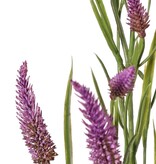 Smalbladklaver (Trifolium angustifolium) 4x vertakt, met 13 bloemen & 70 blaadjes, 80 cm