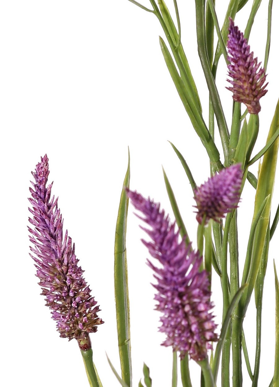 Trébol de hoja estrecha (Trifolium angustifolium) 4x ramificado, con 13 flores y 70 hojas, 80 cm