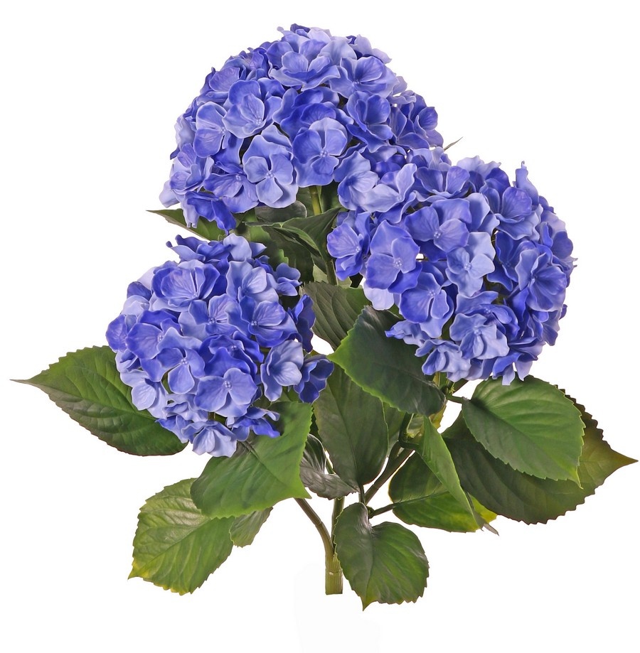 Hortensia, 'All weather', 3 grupos de flor & 27 hojas, 43cm, UV resistente
