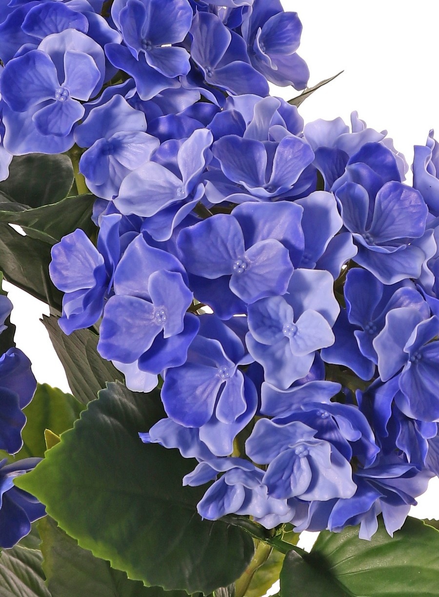 Hortensia (Hydrangea), 'All weather', 3 bloemtrossen (141 bloemen) & 27 blad, 43cm, UV bestendig