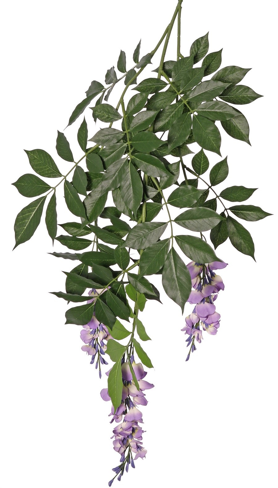 Wisteria (Blauregen) mit 2 Blütenständen, 126 Blätter, 90 cm, schwer entflammbar