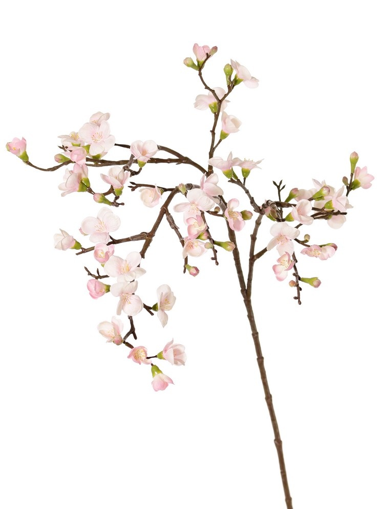 Bloesemtak 'Quinn' met 43 bloemen (14 L / 18 M / 11 SM) & 28 plastic knoppen, 2x vertakt, 100 cm