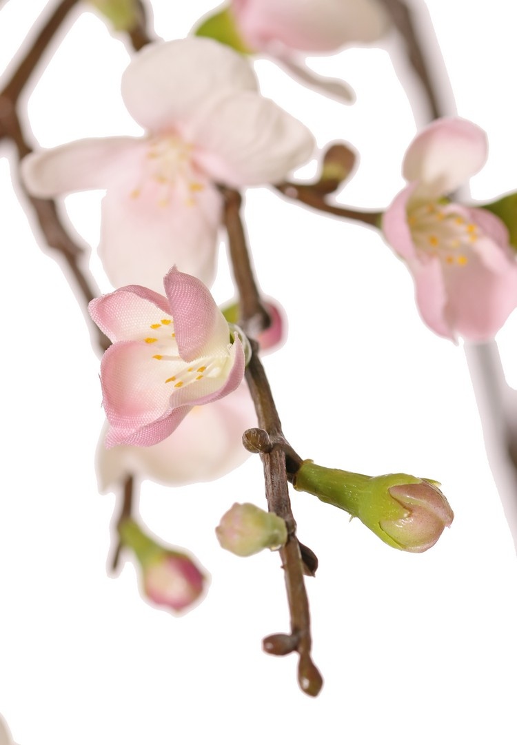 Bloesemtak 'Quinn' met 43 bloemen (14 L / 18 M / 11 SM) & 28 plastic knoppen, 2x vertakt, 100 cm