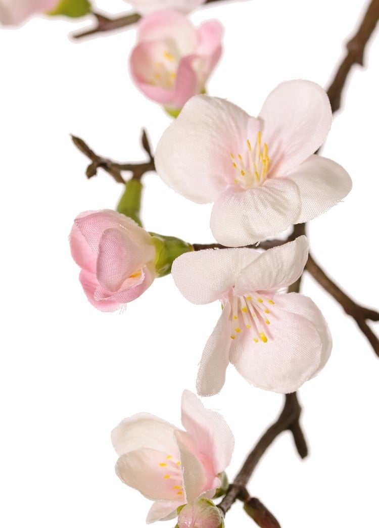 Bloesemtak 'Quinn' met 43 bloemen (14 L / 18 M / 11 SM) & 28 plastic knoppen, 2x vertakt, 100 cm