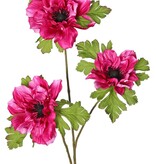 Anemoontak (Anemone) x 3 met 3 bloemen (2x 10 cm/ 1x 8 cm), elk met 3 kelkbladeren, 75 cm