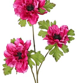 Anemoontak (Anemone) x 3 met 3 bloemen (2x 10 cm/ 1x 8 cm), elk met 3 kelkbladeren, 75 cm