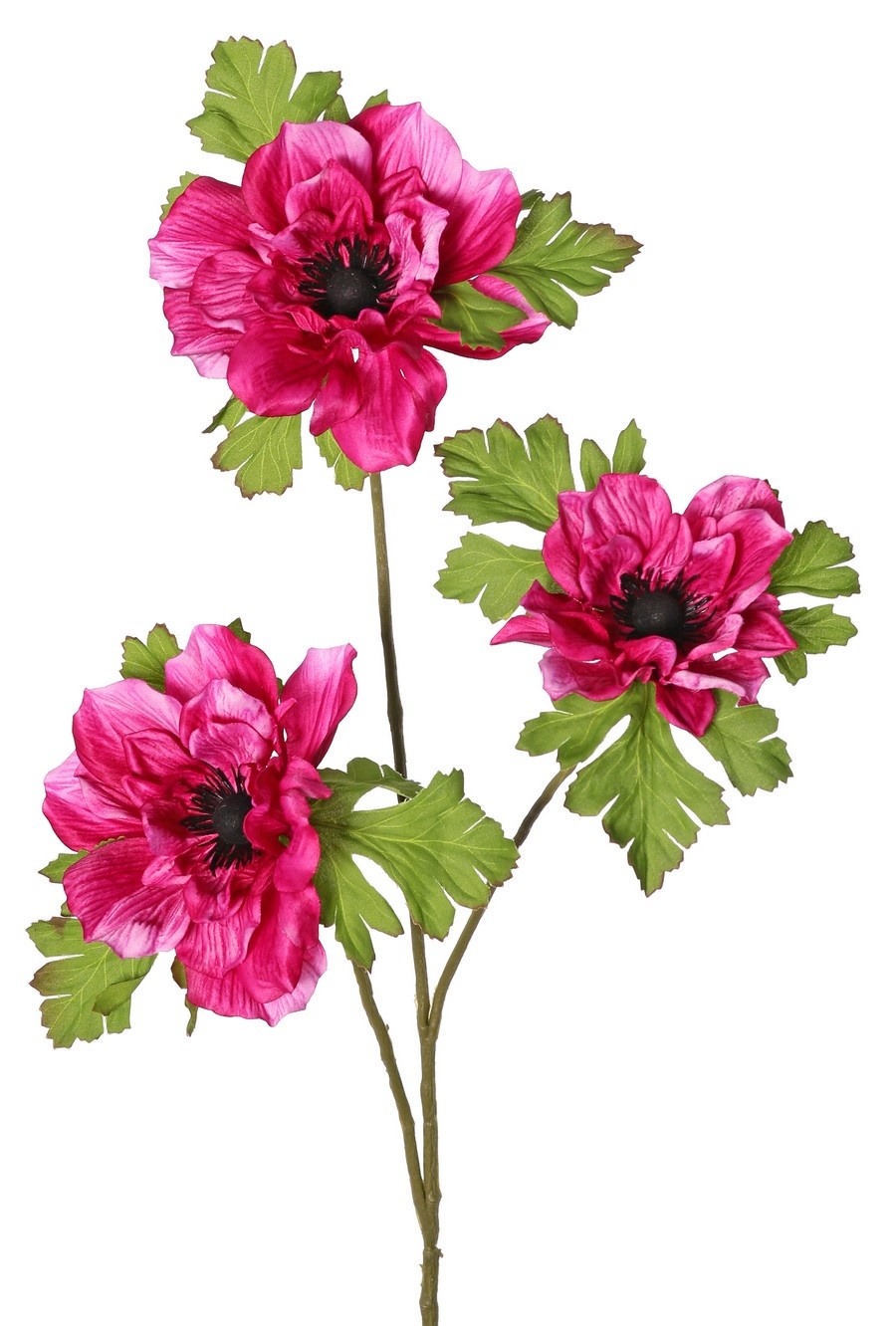 Anemonenzweig (Anemone) x 3 mit je 3 Blüten (2 x 10 cm / 1 x 8 cm), jeweils mit 3 Kelchblättern, 75 cm
