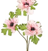Anemonenzweig (Anemone) x 3 mit je 3 Blüten (2 x 10 cm / 1 x 8 cm), jeweils mit 3 Kelchblättern, 75 cm