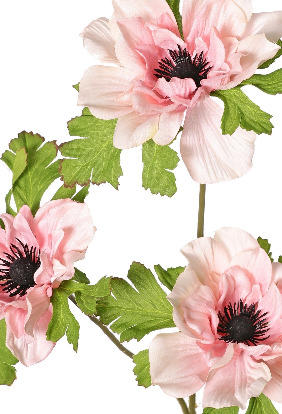 Anemonenzweig (Anemone) x 3 mit je 3 Blüten (2 x 10 cm / 1 x 8 cm), jeweils mit 3 Kelchblättern, 75 cm