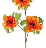 Anemoontak (Anemone) x 3 met 3 bloemen (2x 10 cm/ 1x 8 cm), elk met 3 kelkbladeren, 75 cm