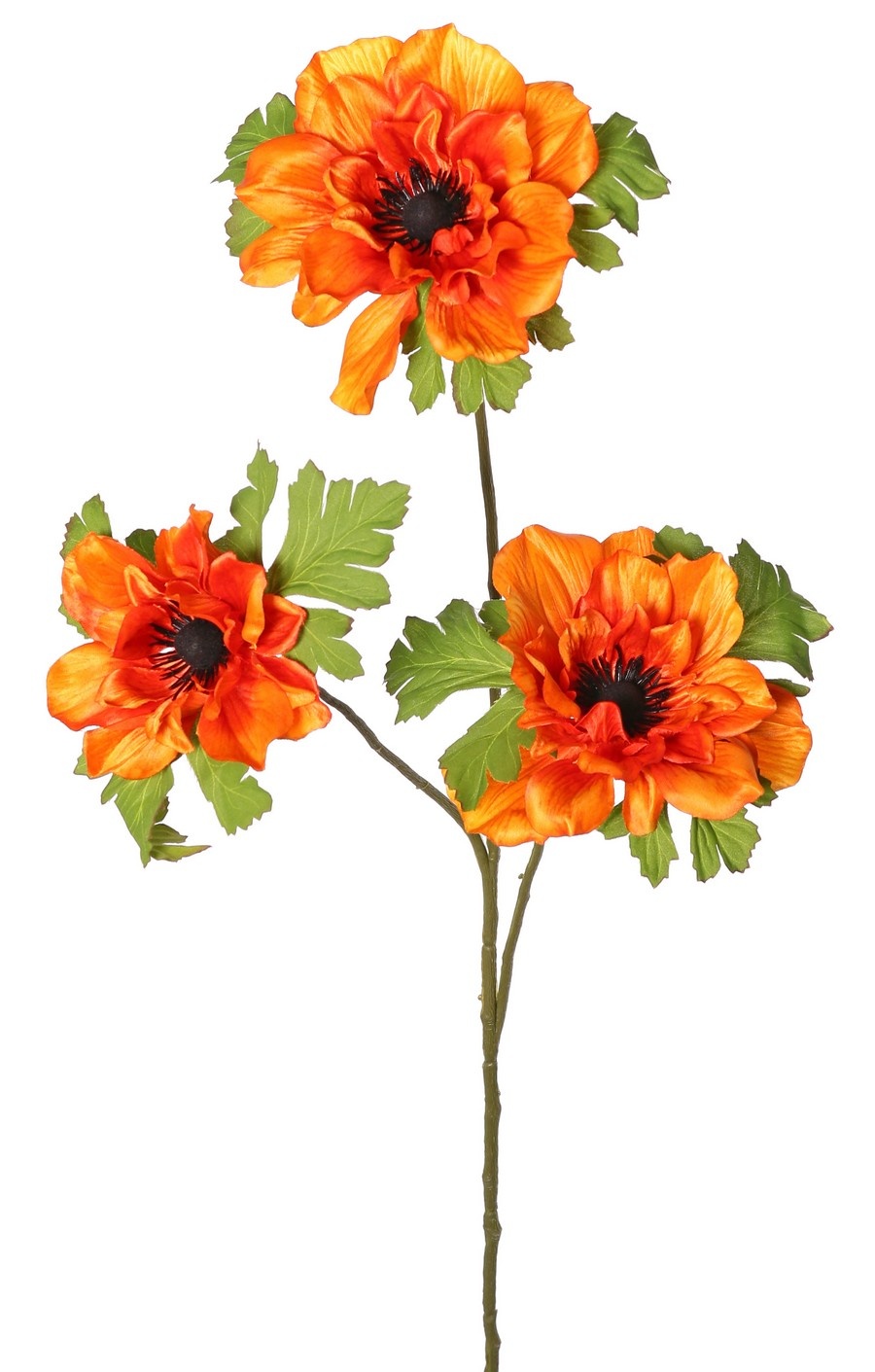 Anemoontak (Anemone) x 3 met 3 bloemen (2x 10 cm/ 1x 8 cm), elk met 3 kelkbladeren, 75 cm