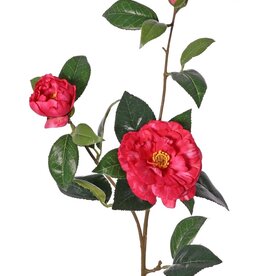 Camellia (Japanese rose) with 2 flowers (Ø 10cm/ Ø 6cm), 1 bud (Ø 2cm) & 22 leaves, 87 cm - RECYCLED