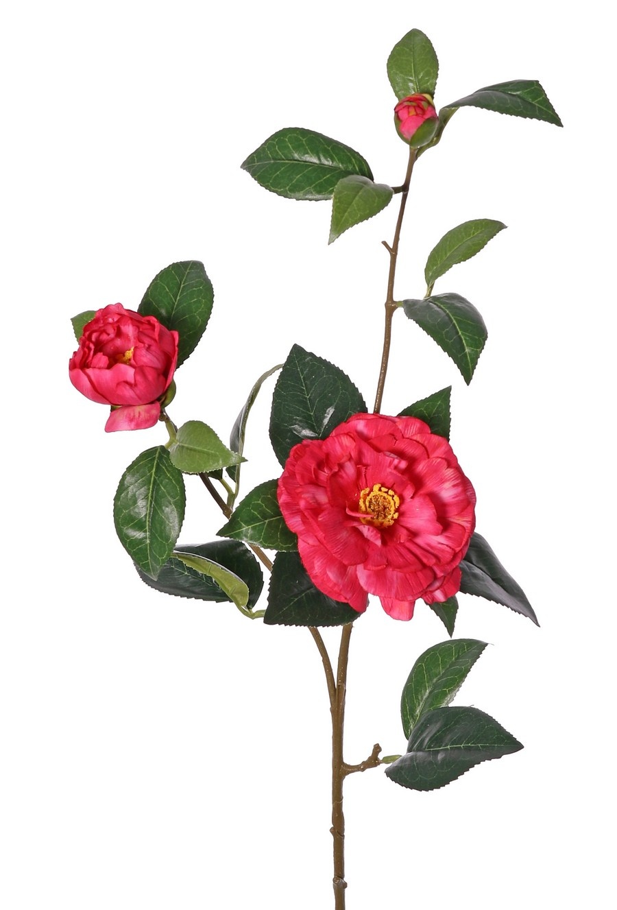 Kamelie (Japanische Rose) mit 2 Blüten (Ø 10 cm / Ø 6 cm), 1 Knospe (Ø 2 cm) und 22 Blättern, 87 cm - RECYCELT