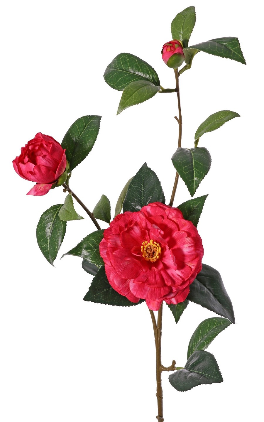 Camellia (Japanese rose) with 2 flowers (Ø 10cm/ Ø 6cm), 1 bud (Ø 2cm) & 22 leaves, 87 cm - RECYCLED