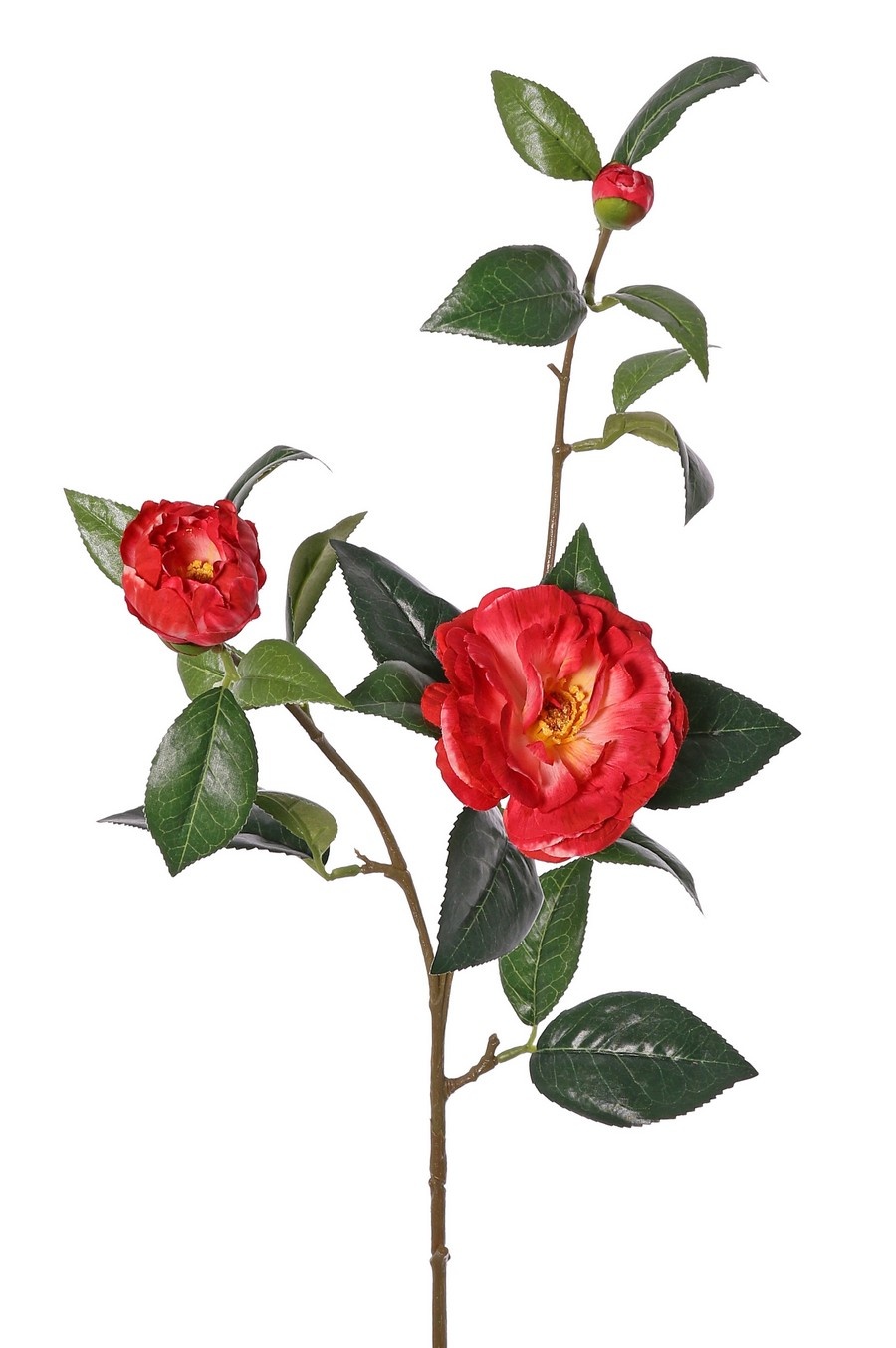 Camellia (Japanese rose) with 2 flowers (Ø 10cm/ Ø 6cm), 1 bud (Ø 2cm) & 22 leaves, 87 cm - RECYCLED