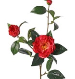 Camellia (Japanese rose) with 2 flowers (Ø 10cm/ Ø 6cm), 1 bud (Ø 2cm) & 22 leaves, 87 cm - RECYCLED