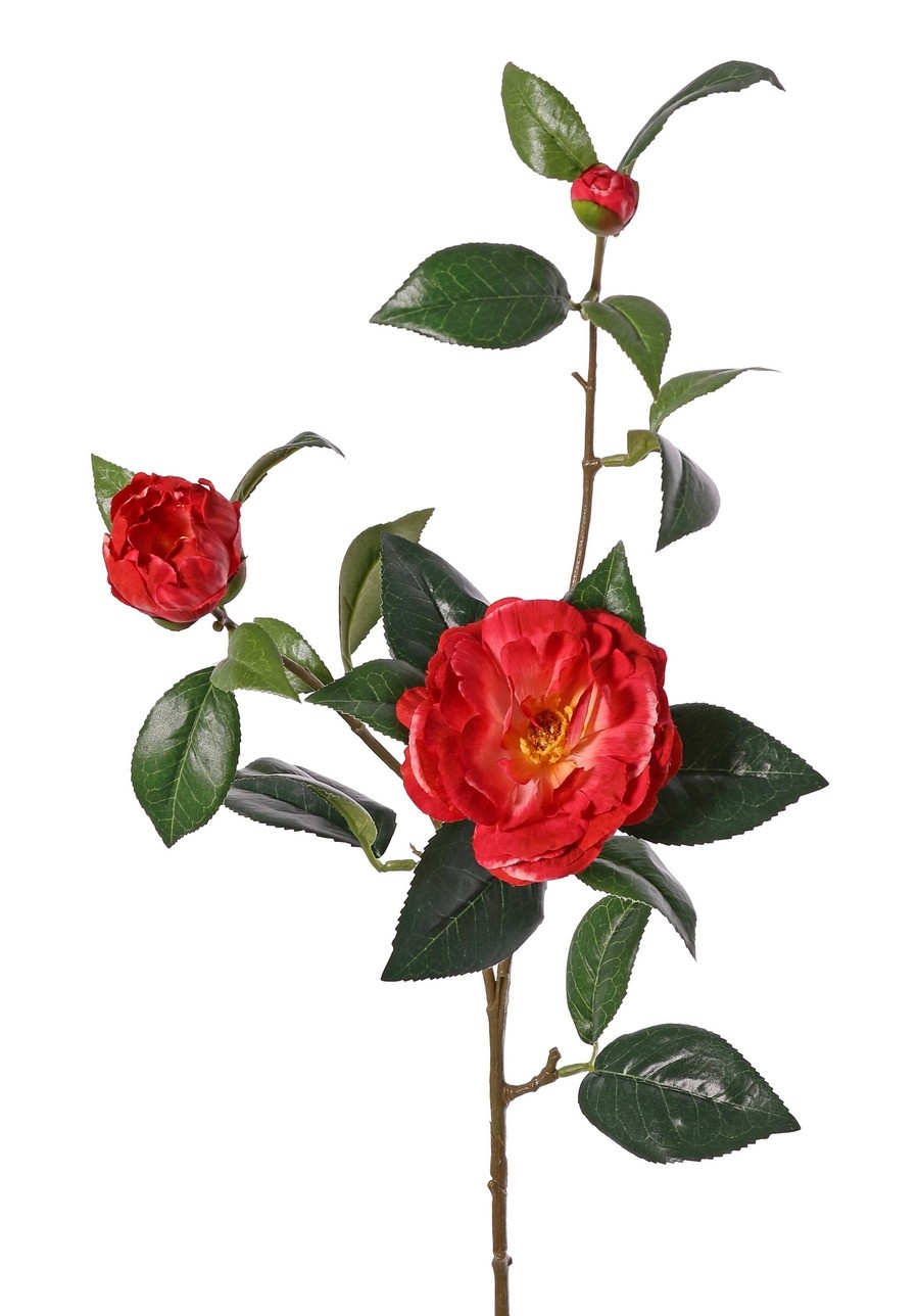 Camellia (Japanese rose) with 2 flowers (Ø 10cm/ Ø 6cm), 1 bud (Ø 2cm) & 22 leaves, 87 cm - RECYCLED