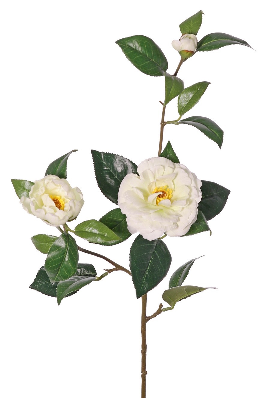 Kamelie (Japanische Rose) mit 2 Blüten (Ø 10 cm / Ø 6 cm), 1 Knospe (Ø 2 cm) und 22 Blättern, 87 cm - RECYCELT
