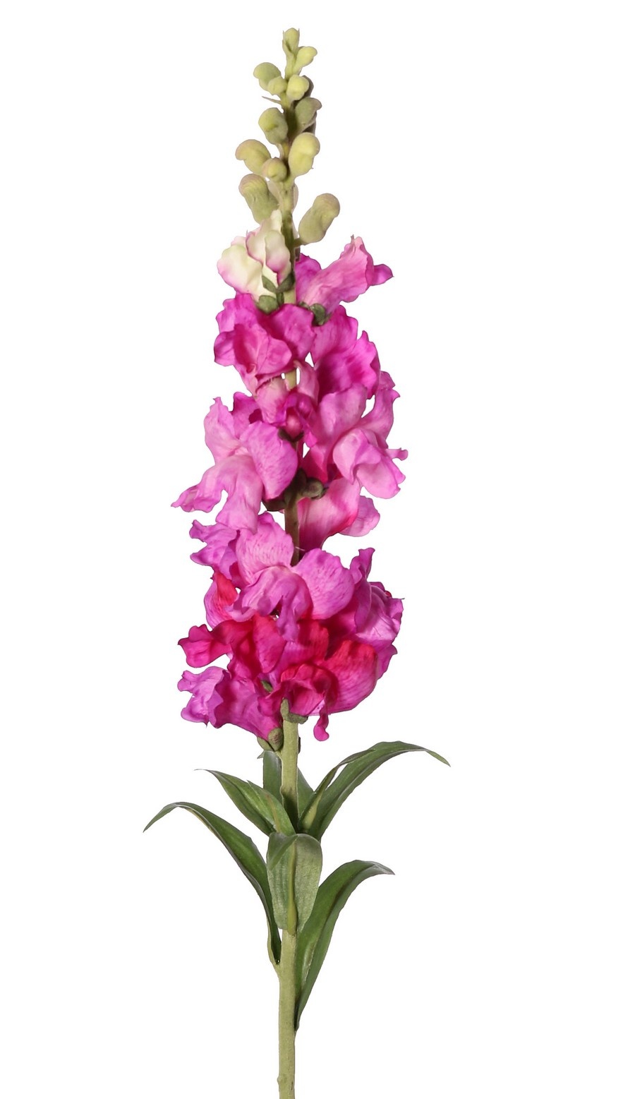 Snapdragon (Antirrhinum) XL with 17 polyester flowers, 16 flocked buds & 8 leaves, 93 cm